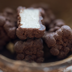 Kokostern med mørk chokolade, 500 gram, økologisk