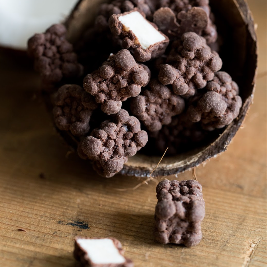 Kokostern med mørk chokolade, 500 gram, økologisk