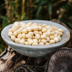 Macadamianødder, 500 gram, økologiske