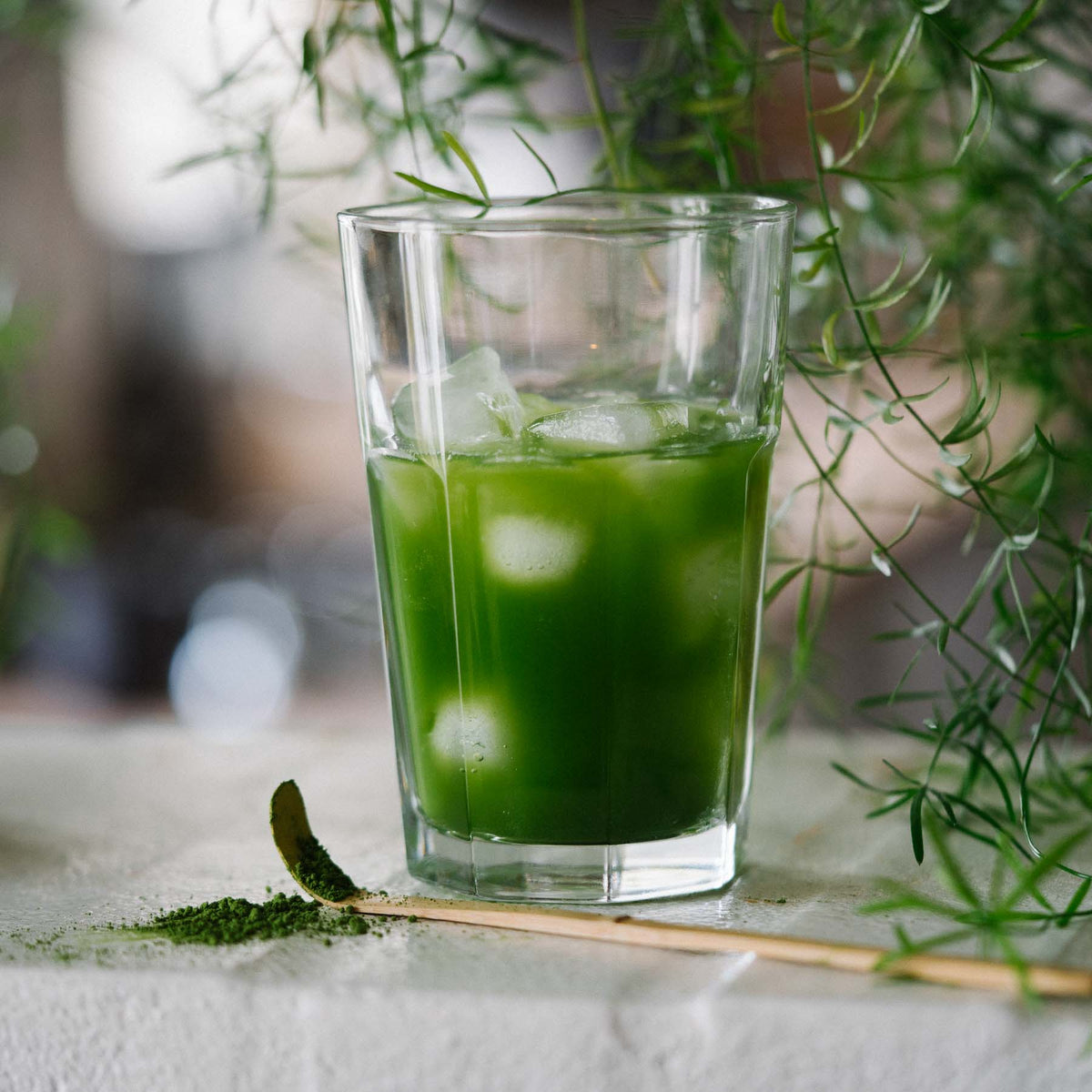 Matcha te, ceremonial, 30 g, økologisk