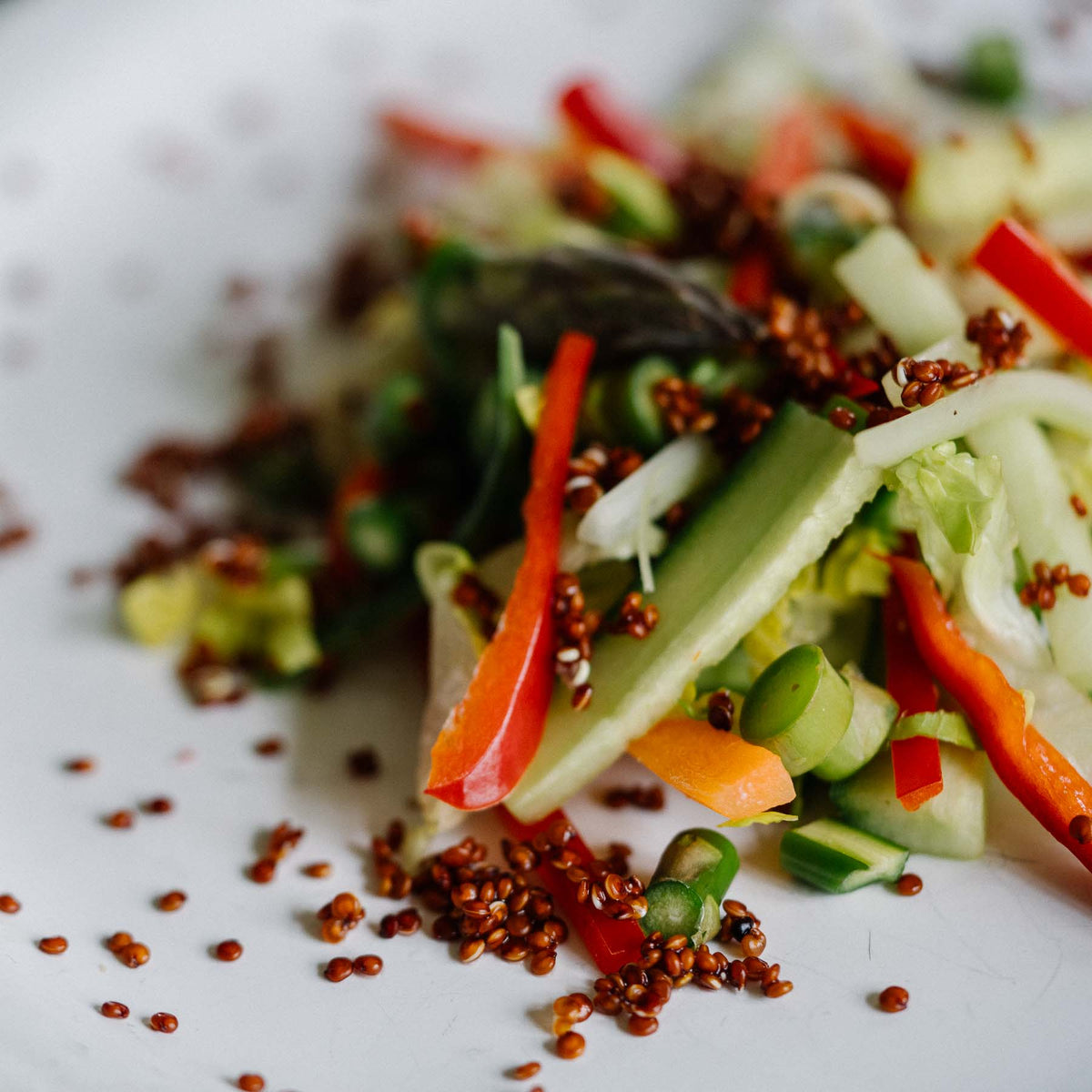 Quinoa – Perfekt til alt fra salater til bagværk