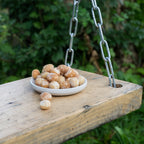 Saltristede Macadamianødder, 500 gram, økologiske